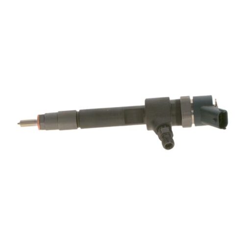 BOSCH 0 445 110 276 Įpurškimo antgalis