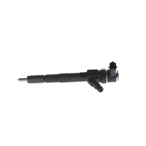 BOSCH 0 445 110 300 Įpurškimo antgalis