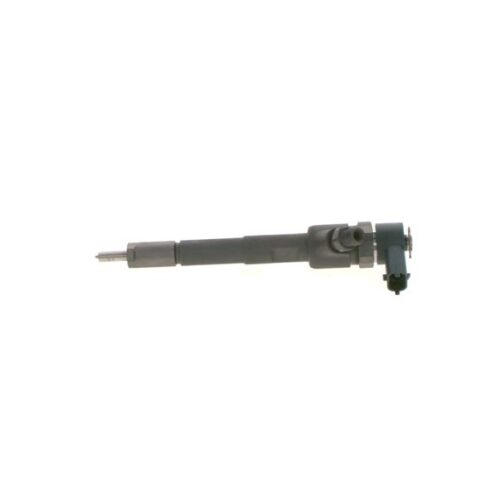 BOSCH 0 445 110 618 Įpurškimo antgalis