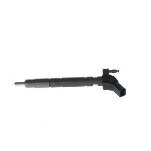 BOSCH 0 445 117 021 Įpurškimo antgalis