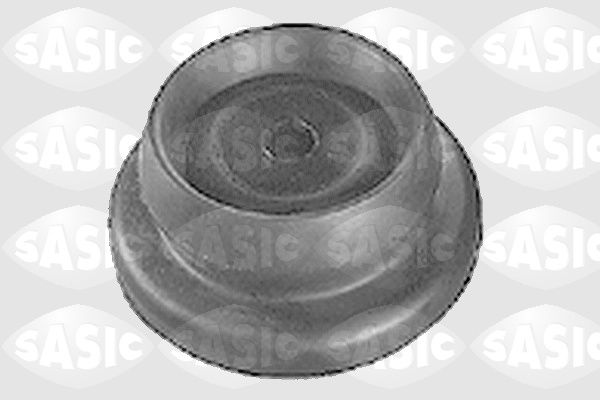 SASIC 0375265 Pakabos statramsčio atraminis guolis