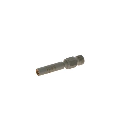 BOSCH 0437502006 Purkštukas