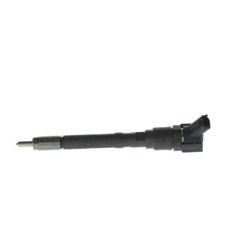 BOSCH 0445110101 Įpurškimo antgalis