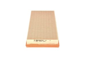 BOSCH 1 457 433 276 Oro filtras