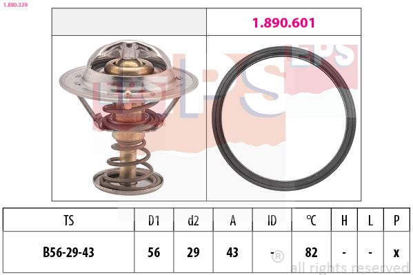 EPS 1.880.339 Termostatas, aušinimo skystis