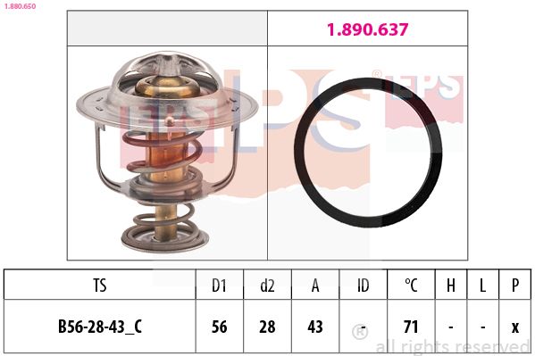 EPS 1.880.650 Termostatas, aušinimo skystis