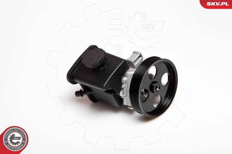 ESEN SKV 10SKV029 Hidraulinis siurblys, vairo sistema