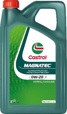 Variklio alyva CASTROL 15FD0E