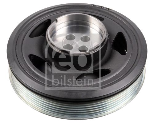 FEBI BILSTEIN 175024 Skriemulys, alkūninis velenas
