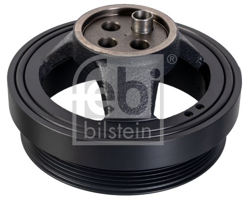 FEBI BILSTEIN 175293 Skriemulys, alkūninis velenas