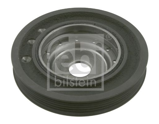 FEBI BILSTEIN 24935 Skriemulys, alkūninis velenas