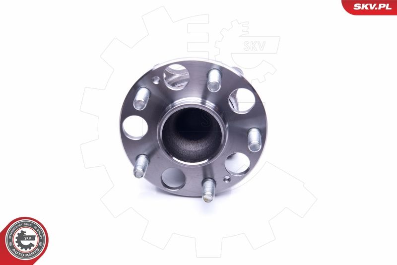 ESEN SKV 29SKV239 Rato guolio komplektas