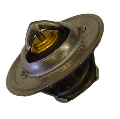 BorgWarner (Wahler) 3167.83D Termostatas, aušinimo skystis