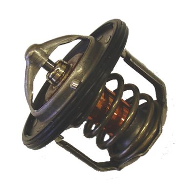 BorgWarner (Wahler) 411716.88D Termostatas, aušinimo skystis