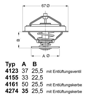 BorgWarner (Wahler) 4123.80D Termostatas, aušinimo skystis