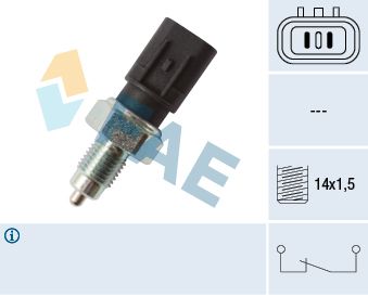 FEBI BILSTEIN 41241 Šarnyras / girgždukas