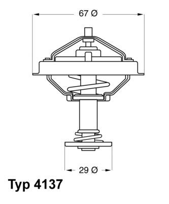 BorgWarner (Wahler) 4137.80D Termostatas, aušinimo skystis