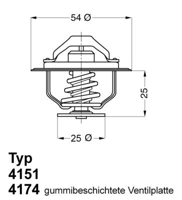 BorgWarner (Wahler) 4174.82D Termostatas, aušinimo skystis