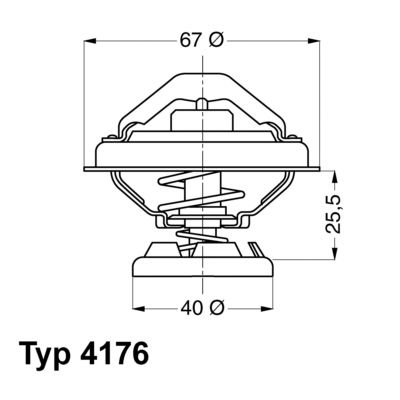 BorgWarner (Wahler) 4176.85D Termostatas, aušinimo skystis