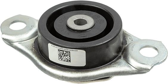 LEMFÖRDER 42134 01 Montavimas, automatinė transmisija