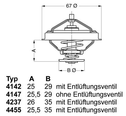 BorgWarner (Wahler) 4237.80D Termostatas, aušinimo skystis