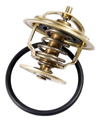 BorgWarner (Wahler) 4253.87D Termostatas, aušinimo skystis