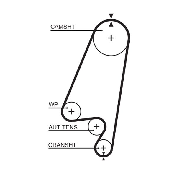 GATES 5367XS Paskirstymo diržas