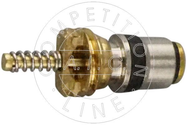 AIC 57869 Vožtuvo šerdis, priežiūros vožtuvas