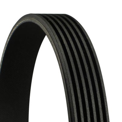 V formos rumbuoti diržai CONTINENTAL CTAM 6PK1124 ELAST