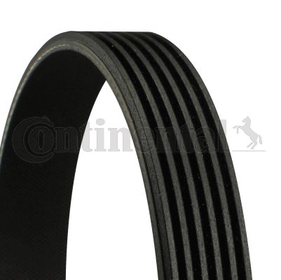 V formos rumbuoti diržai CONTINENTAL CTAM 6PK1195