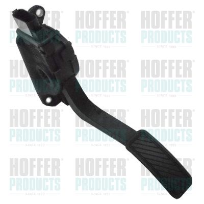 Važiavimo pedalų komplektas HOFFER 7513636