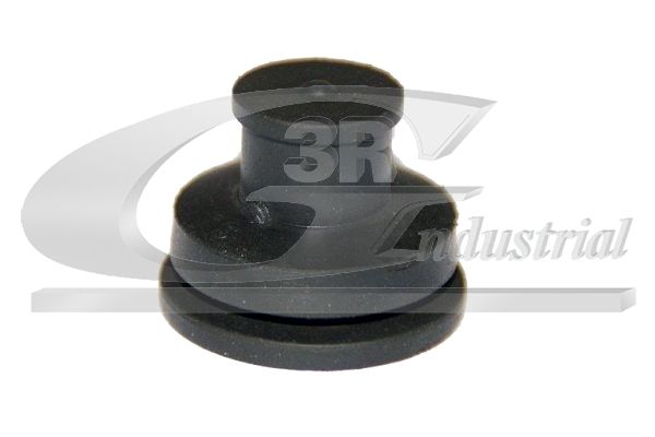 Variklio dangtis 3RG 81268