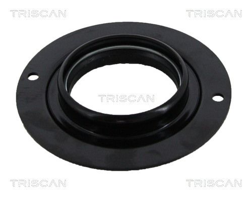 TRISCAN 8500 13917 Frikcinis guolis, pakabos statramsčio atramos montavimas