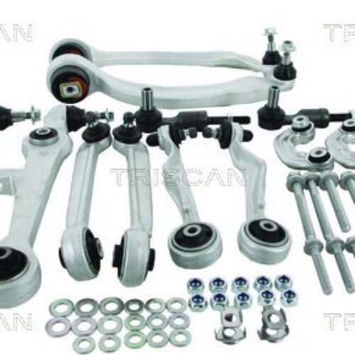 TRISCAN 8500 2902105 Pakabos komplektas