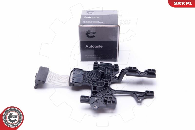 ESEN SKV 96SKV208 Valdymo blokas, automatinė transmisija