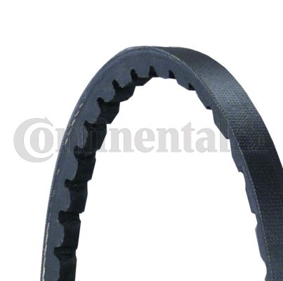 V formos diržas CONTINENTAL CTAM AVX10X825