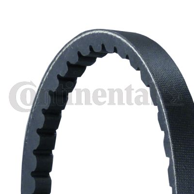 V formos diržas CONTINENTAL CTAM AVX13X1260