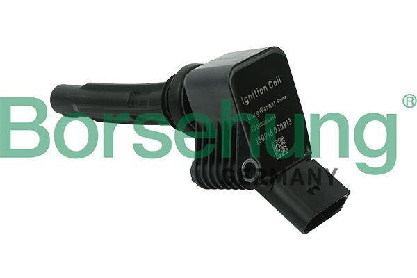 Borsehung B15118 Ritė, uždegimas