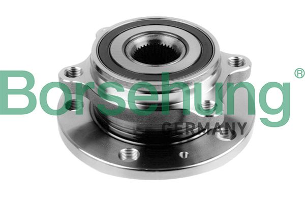 Borsehung B15625 Rato guolio komplektas