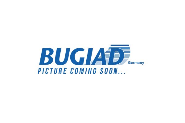 BUGIAD BSP25044PROKIT Pasukamasis kakliukas, rato pakaba