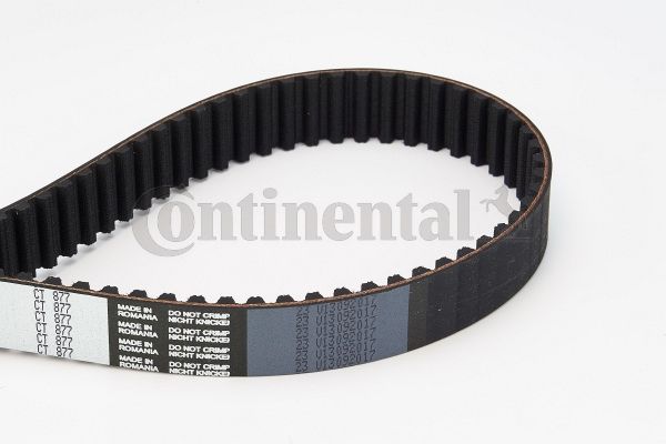 CONTINENTAL CTAM CT877 Paskirstymo diržas