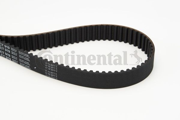 CONTINENTAL CTAM CT919 Paskirstymo diržas