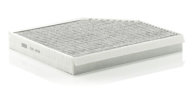 Filtras, salono oras MANN-FILTER CUK 2450