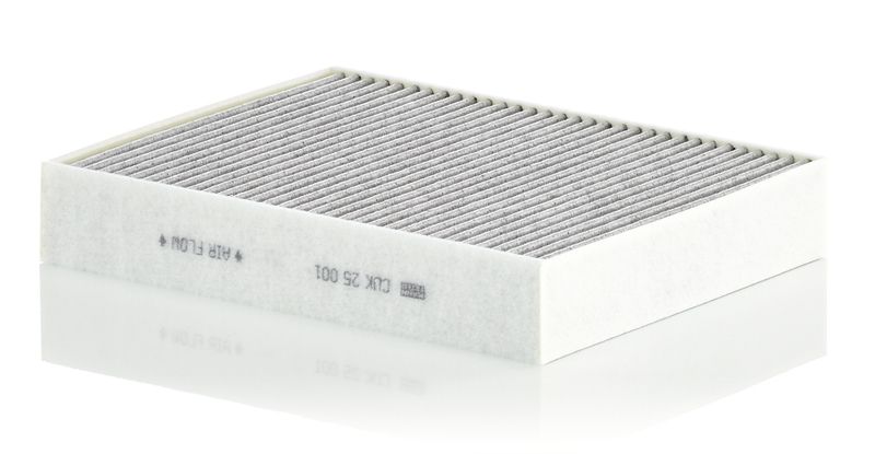Filtras, salono oras MANN-FILTER CUK 25 001