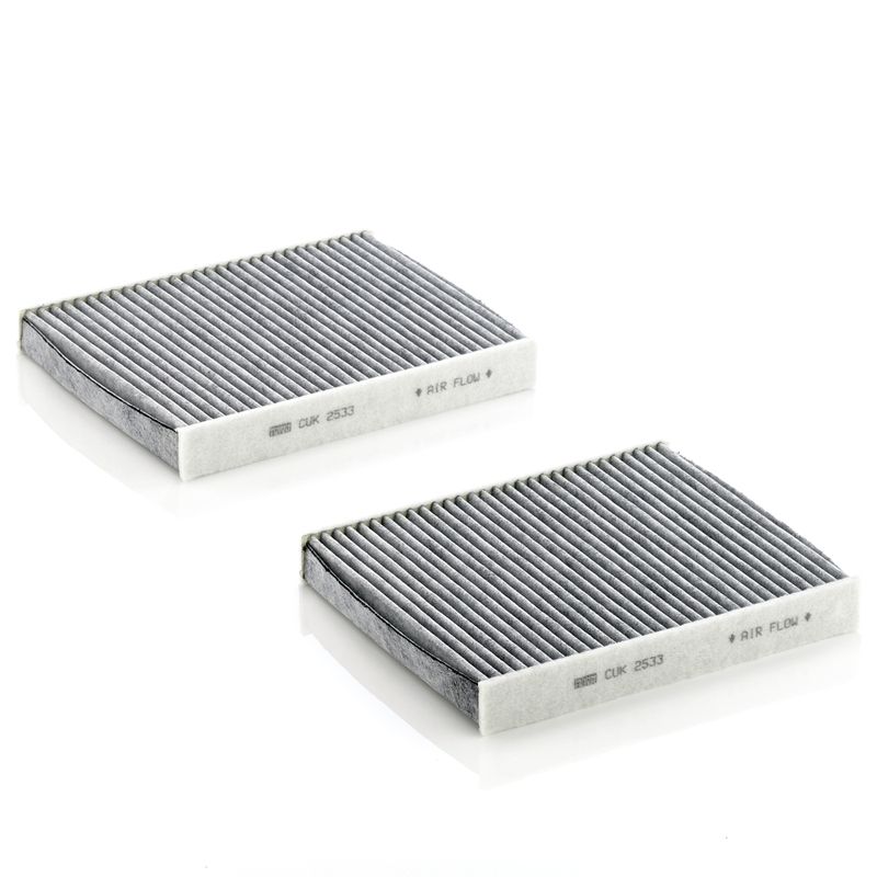 Filtras, salono oras MANN-FILTER CUK 2533-2