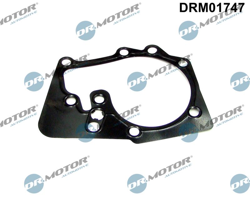 Dr.Motor Automotive DRM01747 Tarpiklis, vandens siurblys