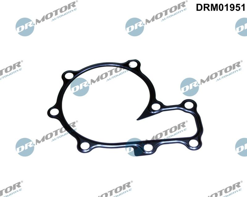 Dr.Motor Automotive DRM01951 Tarpiklis, vandens siurblys