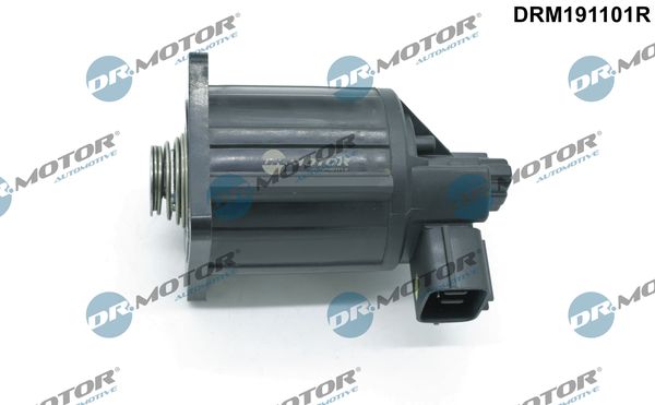 EGR vožtuvas, išmetamųjų dujų valdymas Dr.Motor Automotive DRM191101R