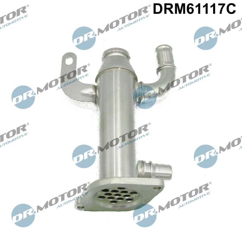 Aušintuvas, išmetamųjų dujų recirkuliacija Dr.Motor Automotive DRM61117C