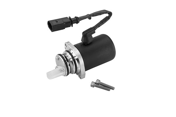 BorgWarner DS118577 Siurblys, visų ratų pavaros plokšt. formos sankaba